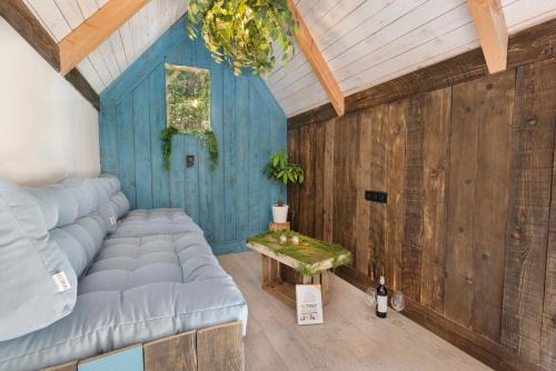 Mirabel - DreamsCanGrow