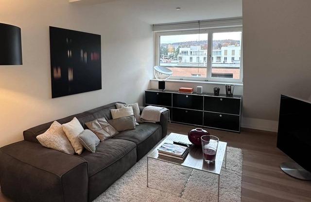 Modern apartment in the city of Zurich - 3 minutes from the lake!