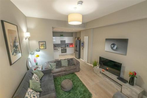 Modern Main Door Flat Edinburgh City Center