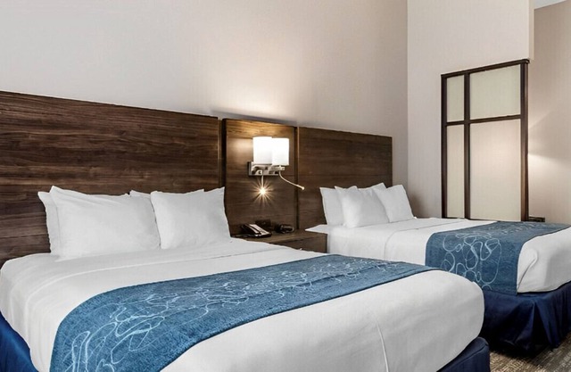 Modern Suite Will Make Your Stay Exceptional