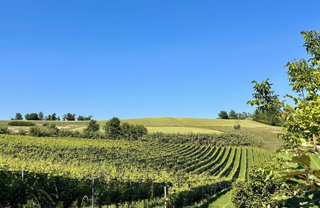 Monferrato Charme & Relax with Pool