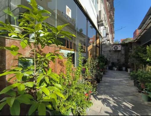 Moonlit Orchid Bay · Coffee & Tea