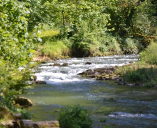 Moulin de la Cuse - Chambre La Cuse