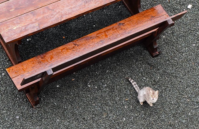 Mountain lodge Bijele stijene (Planinarski dom)