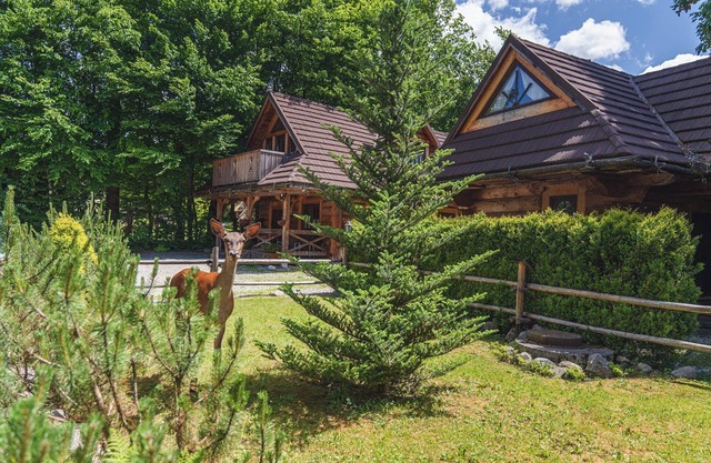 Mountain Shelter Zakopane