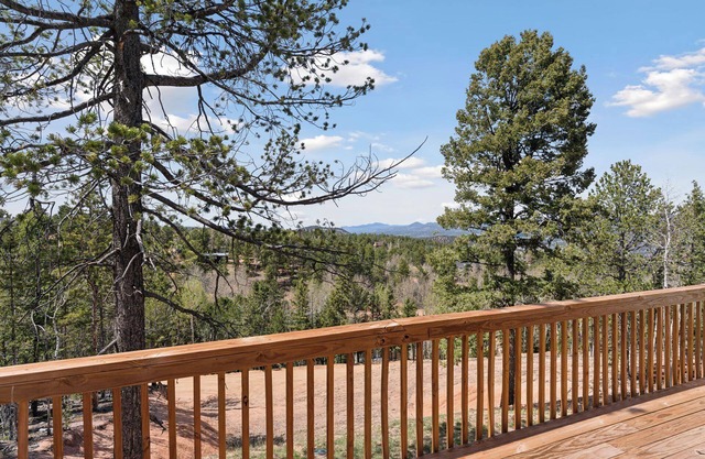 Mountain Views, Fireplace