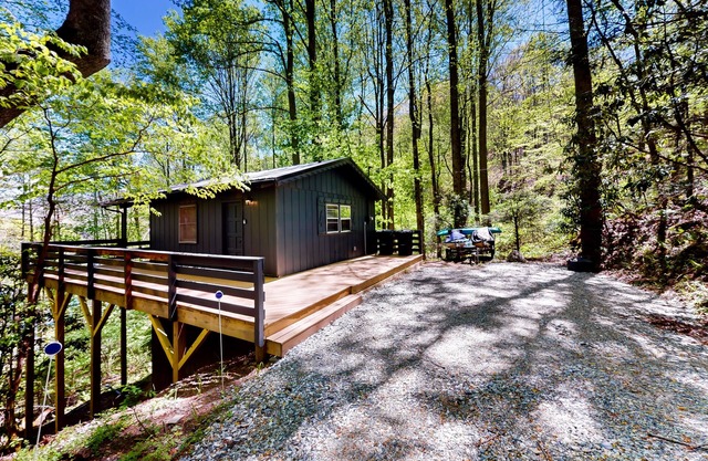 Mountainside escape with Nantahala Lake views & serene deck - dog-friendly