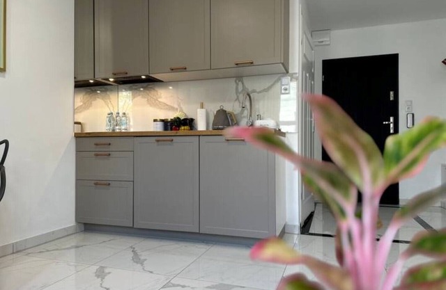 Moveen! Stylish Urban Oasis