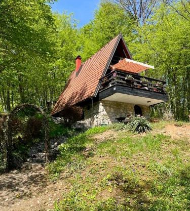 Mrežnički doživljaj