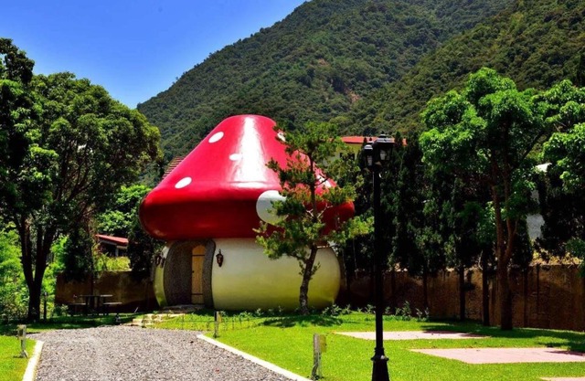 Mushroom Forest Guesthouse Camping Site