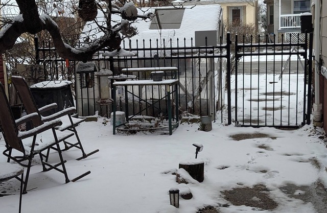 Music Hot Spot N Berwyn/Oak Park 2nd flr Wifi, Smart TVs, BBQ Patio & Greenhouse
