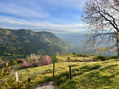 Mystic Mountain Retreat