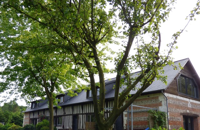Nature & Compagnie. Comfortable cottage. in Normandy, quiet and close to a village