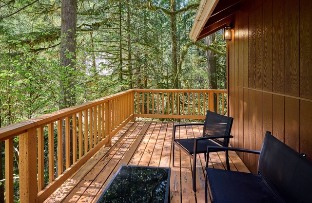 NEW - Cozy Waterfront Cabin Nestled in the Forest - King beds/AC/Fast Wi-fi