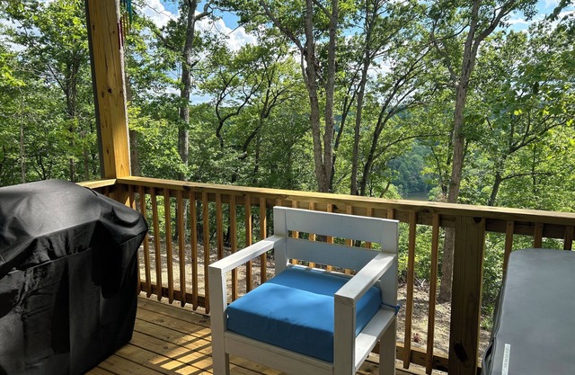 New, Craftsman bungalow. Porch with fireplace, hot tub, wooded, lake view