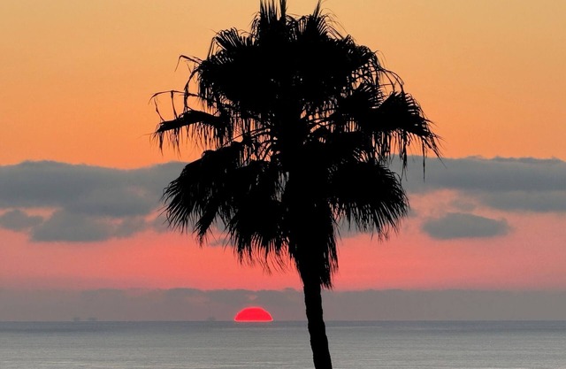 NEW Gorgeous Studio w AC in Laguna Beach near 1000 Steps