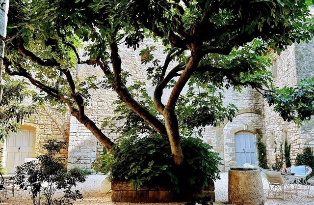 New! Historic Chateau near Uzès, 3 apartments, courtyard garden, and a pool