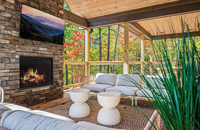 New secluded cabin with private swim spa! Outdoor Living, Game Room, *NEW*