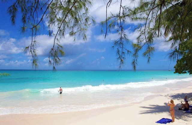 NEW! Tropical Haven in Oistins