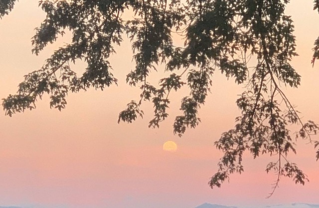 Newly Renovated Condo in Former Historic Inn