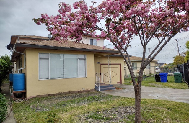 Nice 4br/3bath house unit walk to Del Norte BART