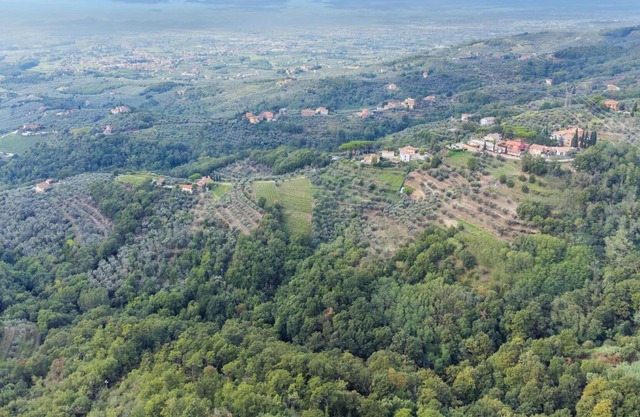 Nice apartment for 3 guests with pool, WIFI, TV, balcony, pets allowed, panoramic view and parking