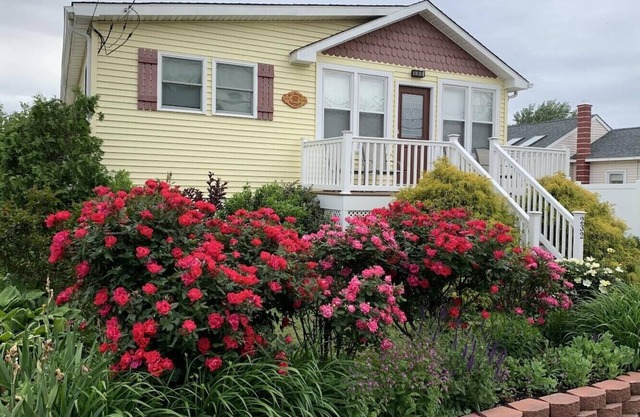 nnDelightful DOG FRIENDY Vacation Home by the Bay for Couples and Families.