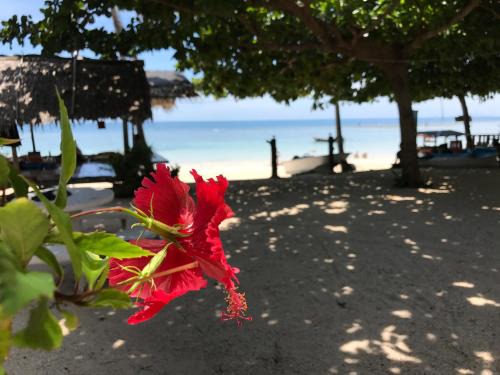 No Name Bungalow Haad Yao