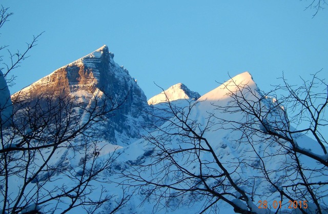 Oasis of peace + nature, sun porch, fireplace, fountains, great mountain view!