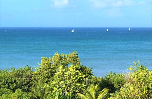 Ocean View Suite