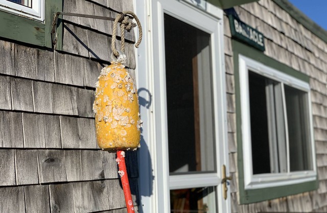 Oceanfront Cottage directly on the beach