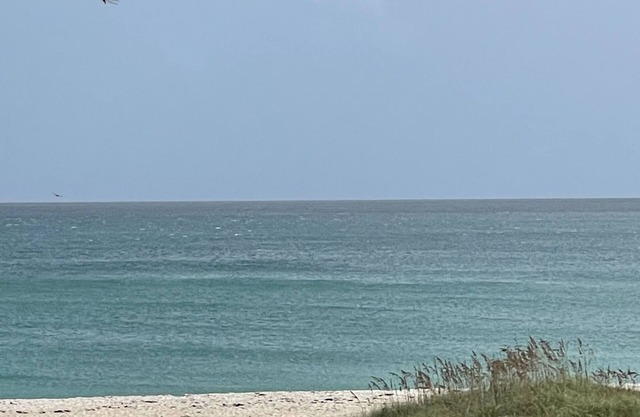 Oceanfront Fully Renovated Luxury Condo