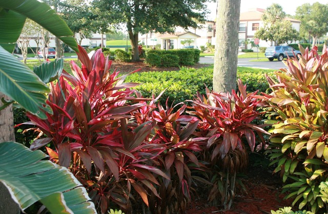 Oct 15-27 OPEN. Sunny, Quiet .Main floor ,Gated, WiFi-GOLF-pools,-Parks 30 min