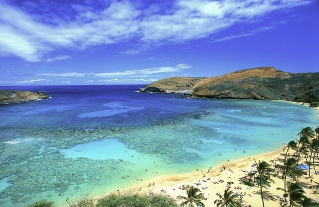 October and November 2024nOceanview 3 bedroom/2 bathroom Homen10,000/month