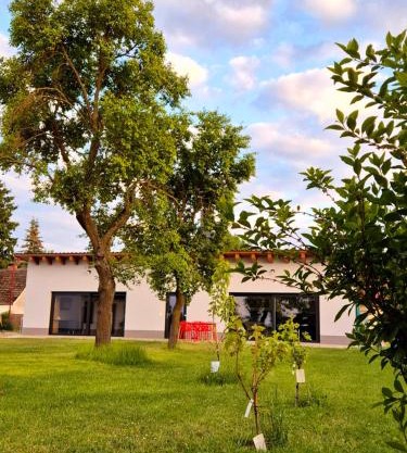 Oderbruch26 mit Sauna-Option