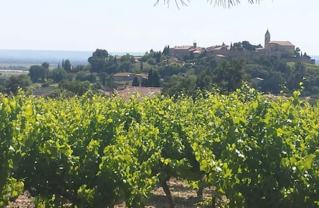 Old farm in the middle of the vineyards