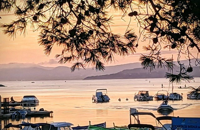 Old house on the Quai du Brusc in an enclosed garden planted with trees