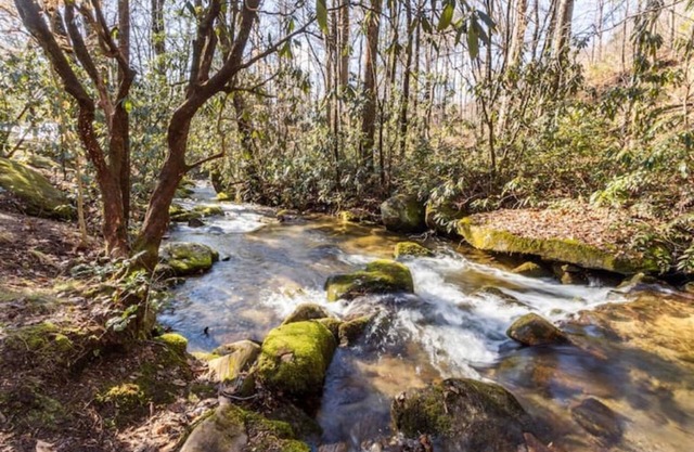 Ole Blue - Table Rock, Sassafras, Lake Keowee, Lake Jocassee.