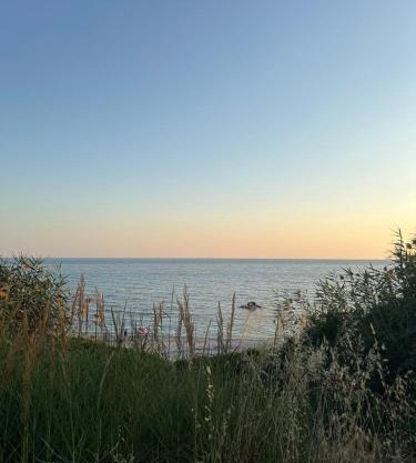 Olive House Seaside