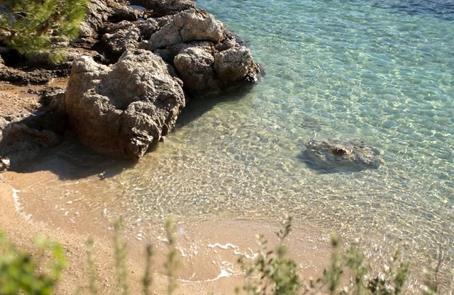 Olive-sunset Haven in Zuljana