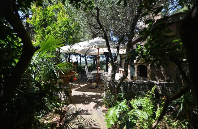 On the hill in Tuscany, overlooking the sea. For 2 to 4 people