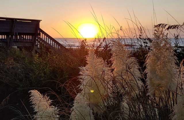 Once Upon a Tide - Beachfront Condo