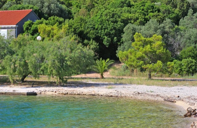 One bedroom apartment near beach Brijesta, Pelješac (A-10223-d)