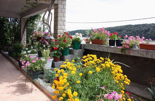 One bedroom apartment with terrace and sea view Kampor, Rab (A-4984-b)