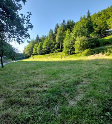 Only Meadow - place for camping