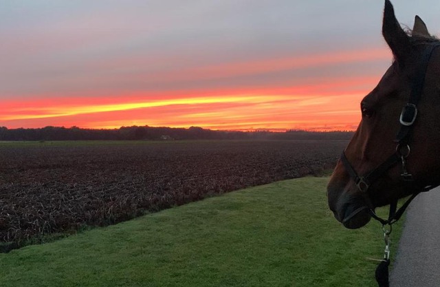 Onze boerderij