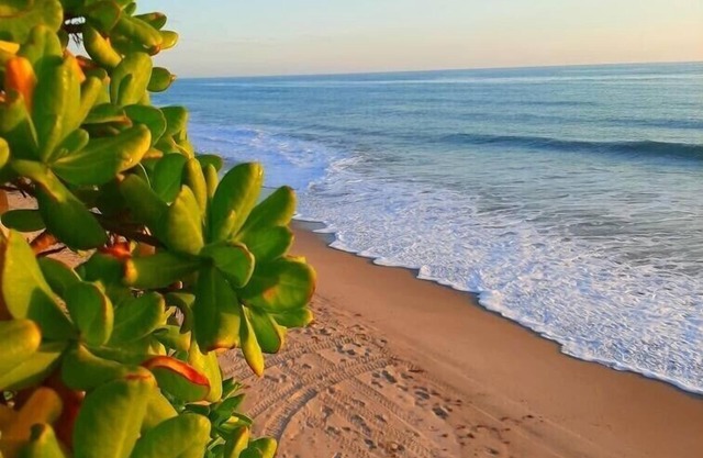Orchid Island Family Getaway w/Private Beach and Hot Tub