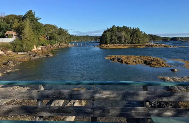 Osprey's Nest. Waterfront unit with boat and kayak access. Pet Friendly!