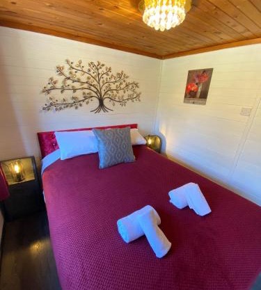 Otter 2 HuntersMoon- Warminster-Wiltshire-Bristol