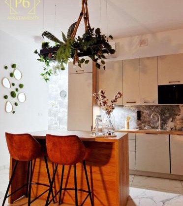 P6 Retro Nest Apartament
